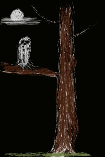 White owl on a tree | PerGIA79 | Digital Drawing | PENUP