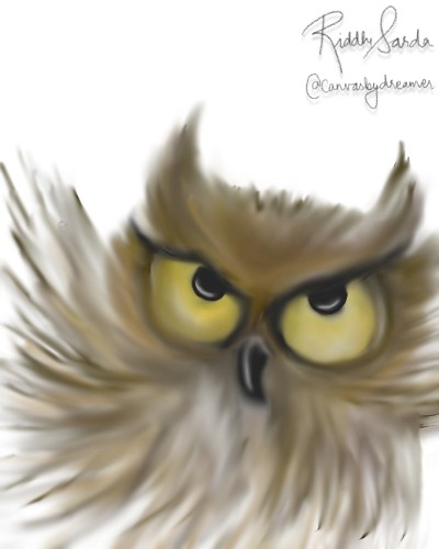 OWL | riddhi | Digital Drawing | PENUP