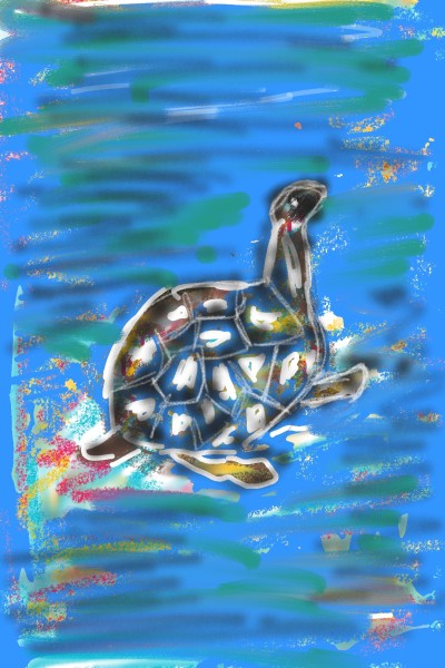 Turtle in water | simrangehani | Digital Drawing | PENUP