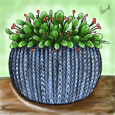 succulent pot | kymiro2 | Digital Drawing | PENUP