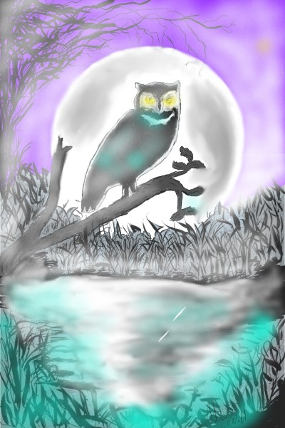 foggy owl | Andrew | Digital Drawing | PENUP
