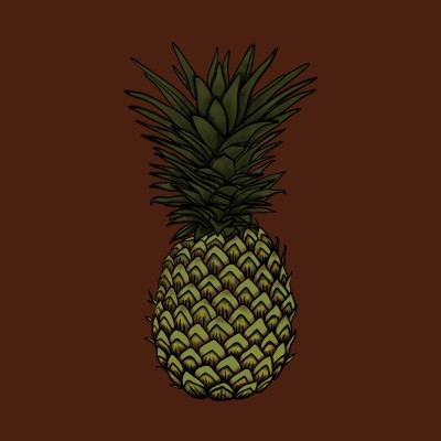 pineapple  | VexieVox | Digital Drawing | PENUP