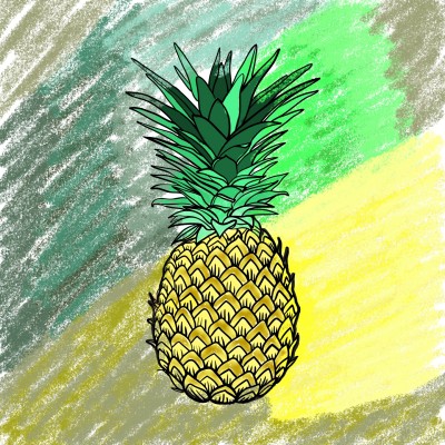 piña | Charly | Digital Drawing | PENUP