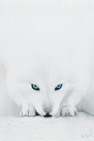 White Fox  | UAEwolves | Digital Drawing | PENUP