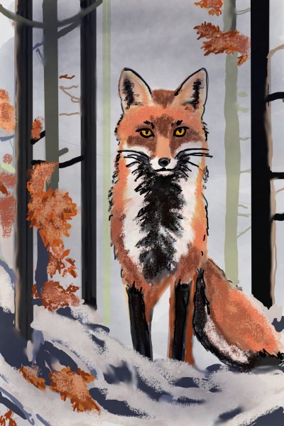 Winter Fox | darrianlynx | Digital Drawing | PENUP