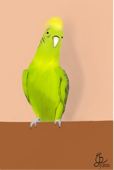 Parrot | _mamol_slh_ | Digital Drawing | PENUP