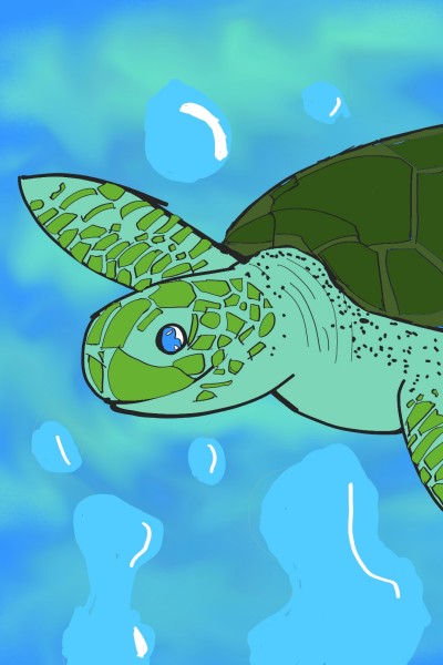 turtle :> | hyyg | Digital Drawing | PENUP