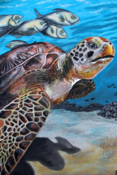 turtle under sea | kitkatkaisha | Digital Drawing | PENUP