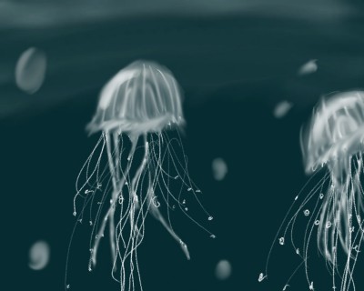 Jellyfish | Nem_green | Digital Drawing | PENUP