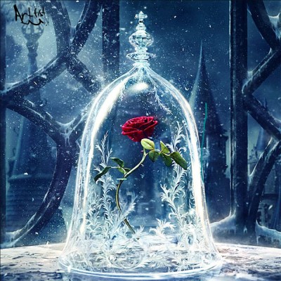 Rose In Ice | Artfist | Digital Drawing | PENUP