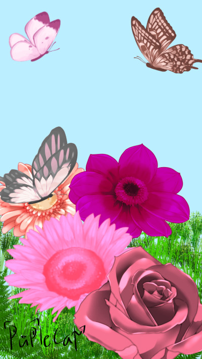 Pink Folwers and Butterflies(ibispaintX) | Shega | Digital Drawing | PENUP