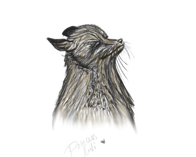 mr.foxy | Lulli | Digital Drawing | PENUP