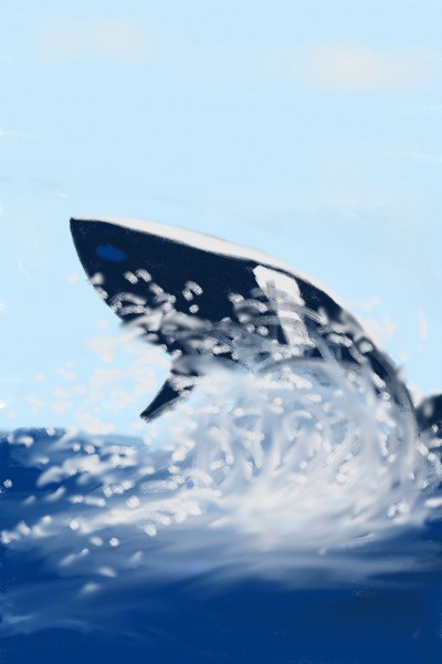 whale((고래) | sunhwa | Digital Drawing | PENUP