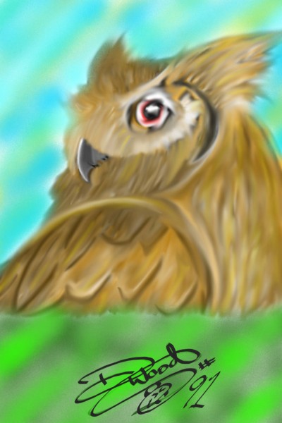 Owl | SketchMayn | Digital Drawing | PENUP