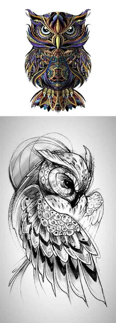 owl competition  | adysin | Digital Drawing | PENUP