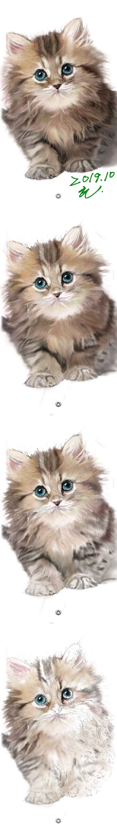 Cat drawing process. | honey | Digital Drawing | PENUP