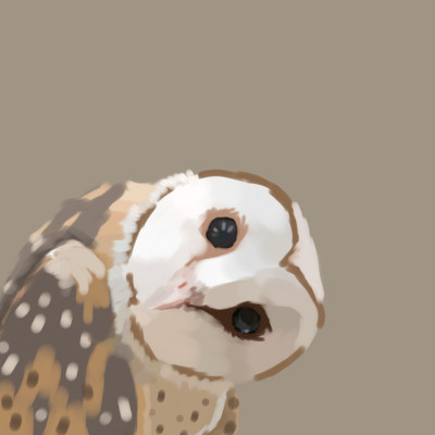 Barn owl | BlueAstrxid | Digital Drawing | PENUP