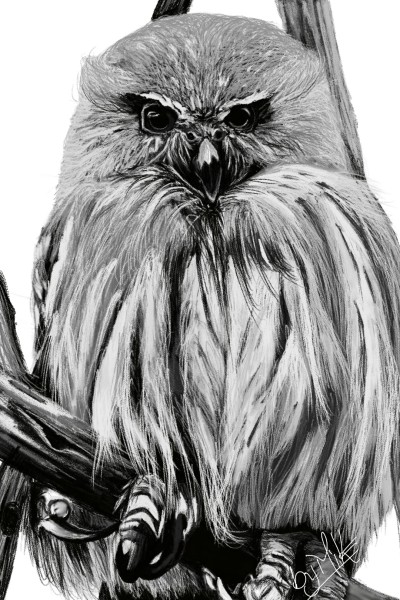 The Mad & lovely Bird | Mikelortz | Digital Drawing | PENUP