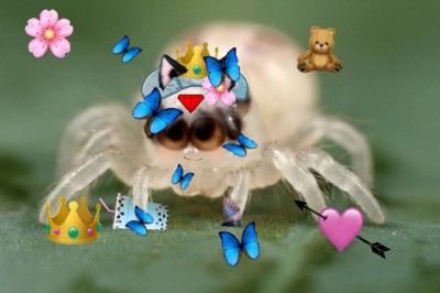 cute spider ^_^ | Lindo._.uwu | Digital Drawing | PENUP
