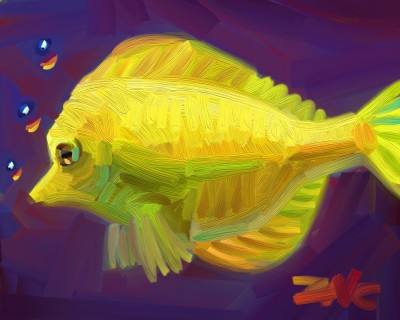 yellow tangfish | zak | Digital Drawing | PENUP