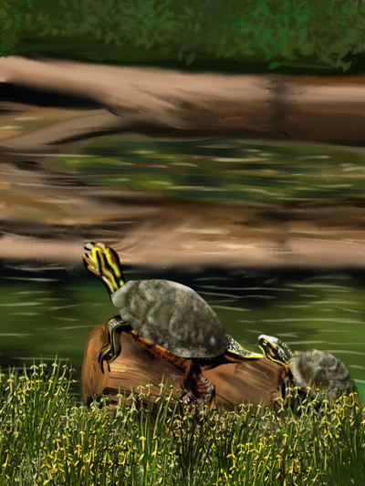 Mother and Baby Turtle | ShannonFueryArt | Digital Drawing | PENUP