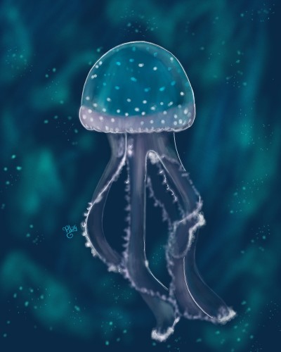 Jellyfish | Pher2.Pilar | Digital Drawing | PENUP