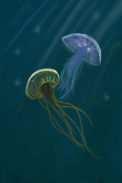 jelly | liam | Digital Drawing | PENUP