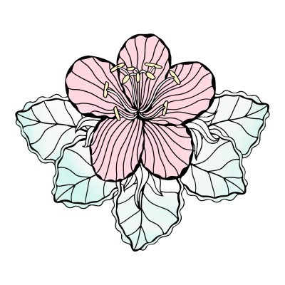 A flower | Peopleperson | Digital Drawing | PENUP