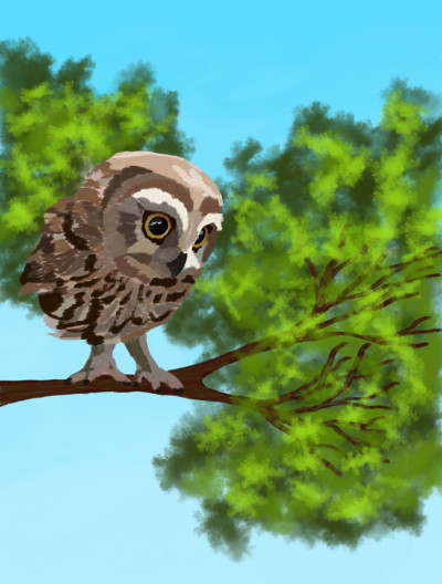 Baby Owl | sherlock | Digital Drawing | PENUP