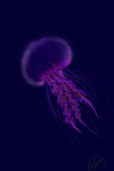 jelly fish | Rohan | Digital Drawing | PENUP