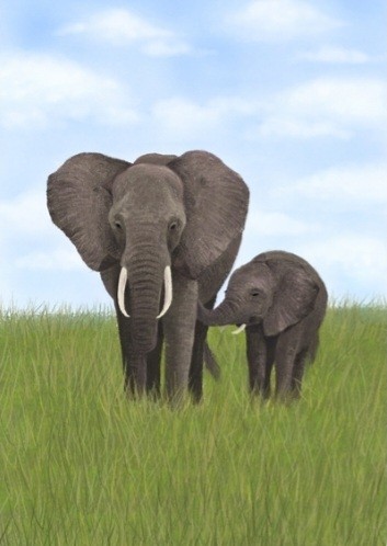 Sou um elefantinho bebé com a minha mamã wee. | Laura_M20 | Digital Drawing | PENUP